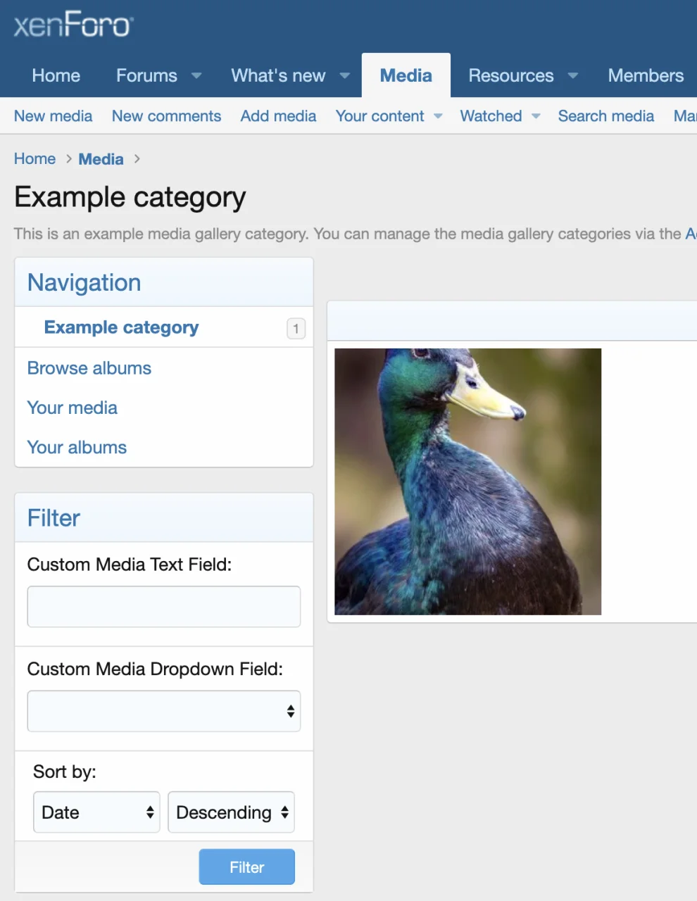 [aprodam.ru] [vbresults.com] Filter Media Fields