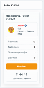 Панель пользователя в виде виджета