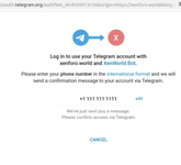 [Berg] Telegram Auth
