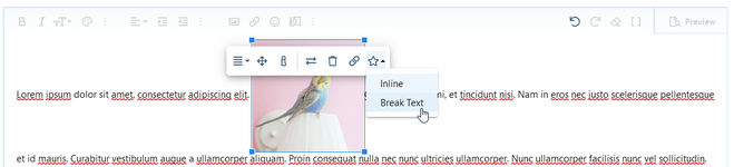 [OzzModz] Editor Image Display Mode