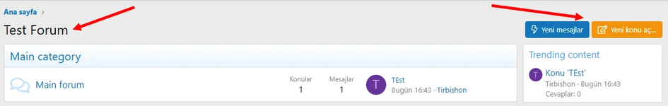 Удалите заголовок домашнего форума, новые сообщения и кнопку Открыть новую тему