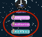 Personalized group banner